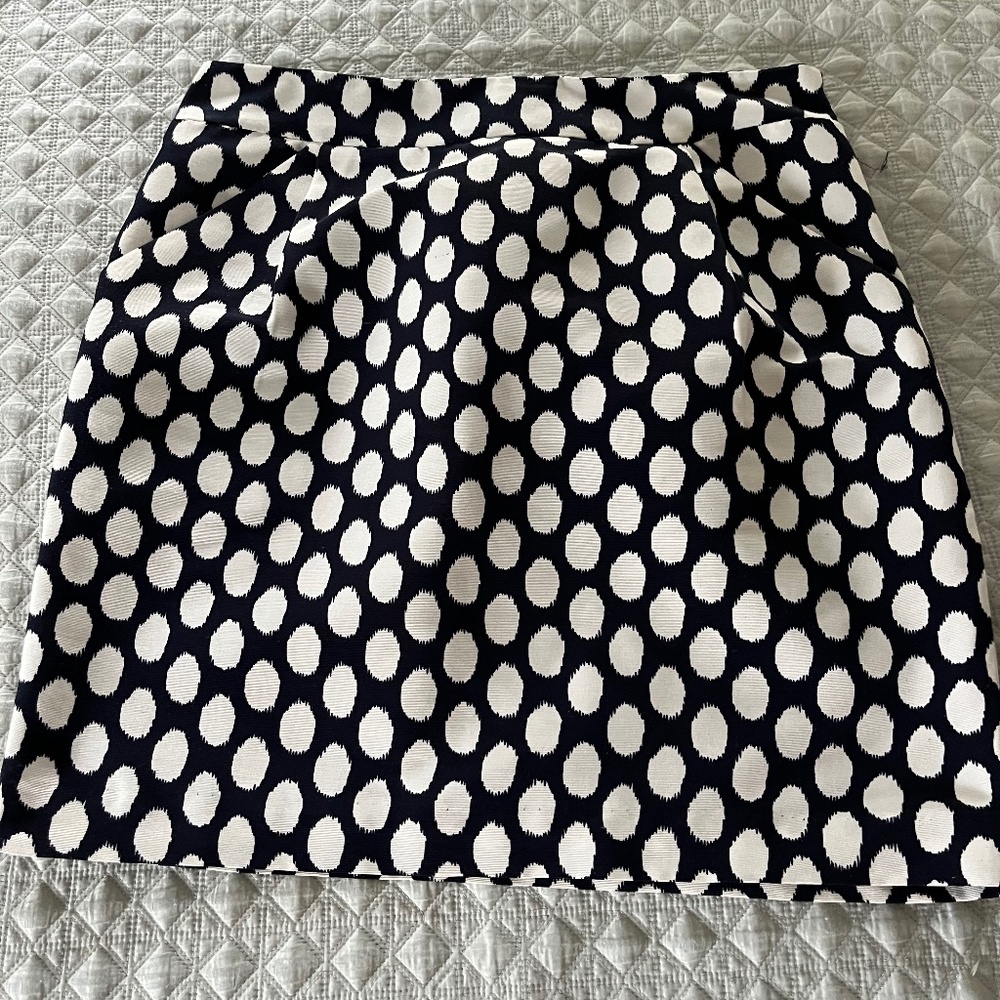 Ann Taylor Loft Polka Dot Skirt